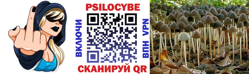 как найти Мелеуз MEGA зеркало Псилоцибиновые грибы ЛСД