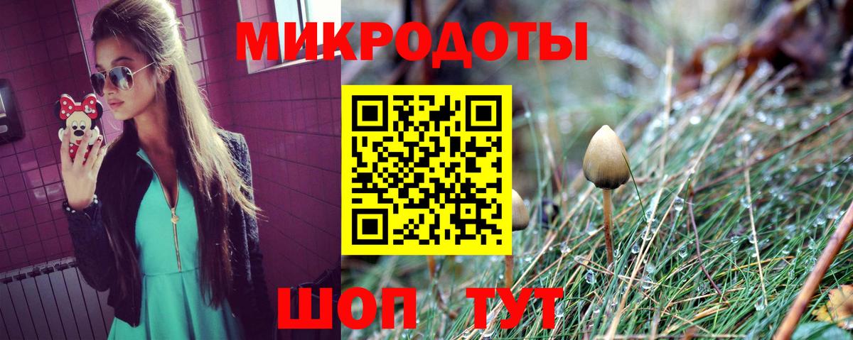 Галлюциногенные грибы Psilocybe Мелеуз